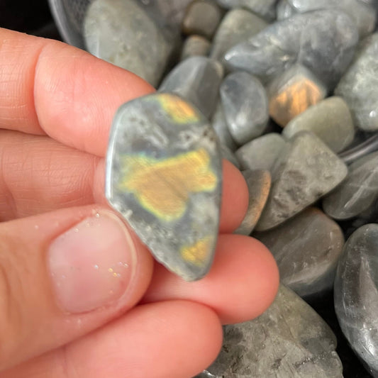 Purple Yellow Labradorite Tumbled Stone, 1 Pound Bag WT-0037