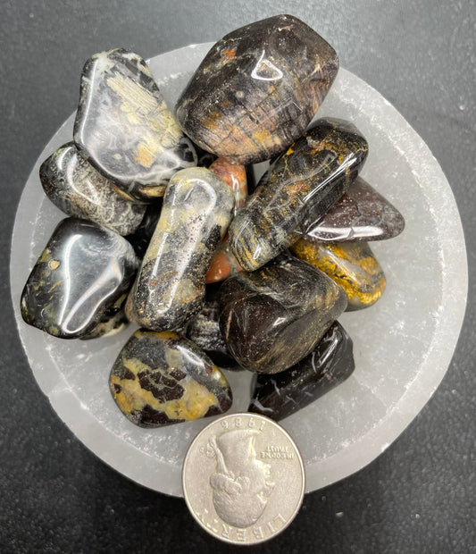 Silver Leaf Jasper Tumbled Stone, 1 Pound Bag (Approx. 20-35 mm) WT-0127