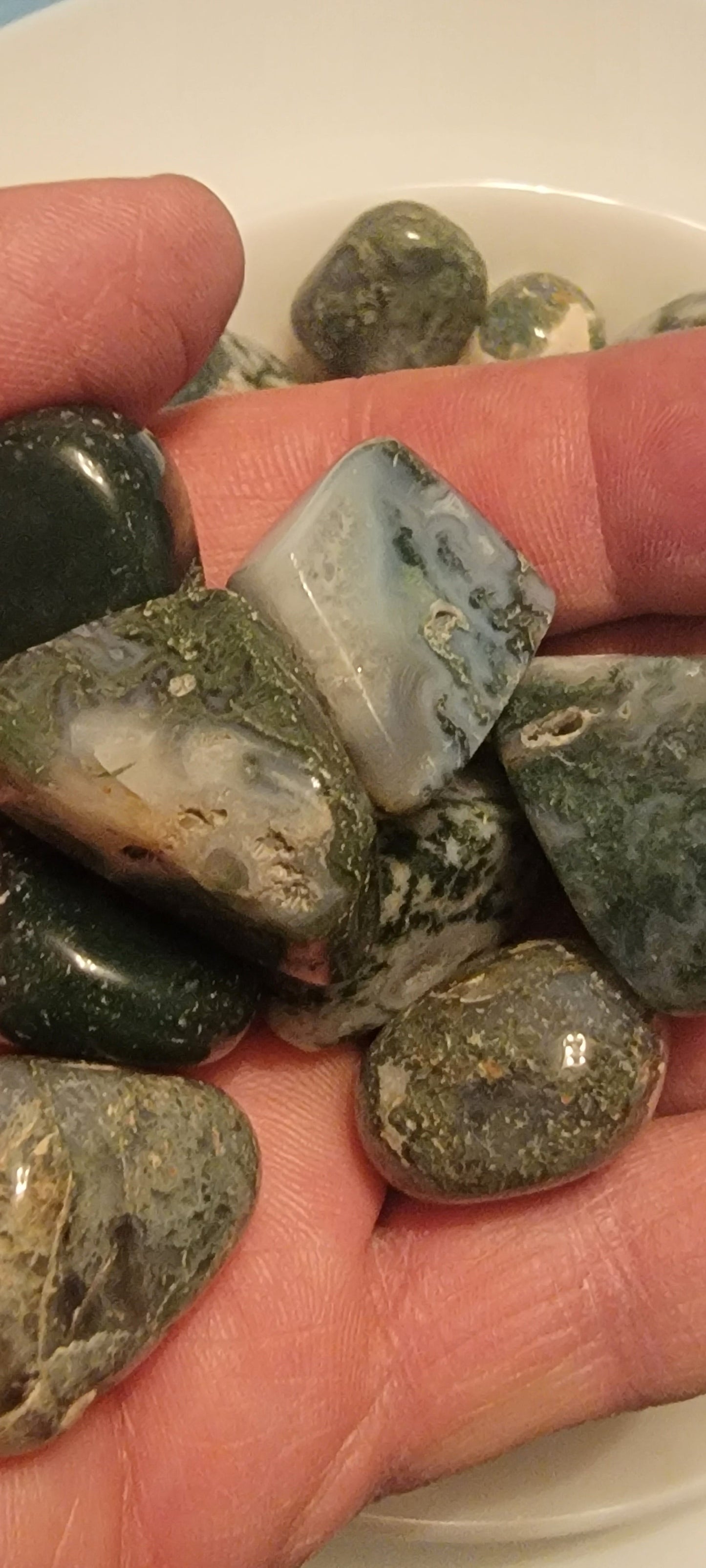 Tree Agate Tumbled Stone, 1 Pound Bag (Approx. 20-30 mm) WT-0142-A