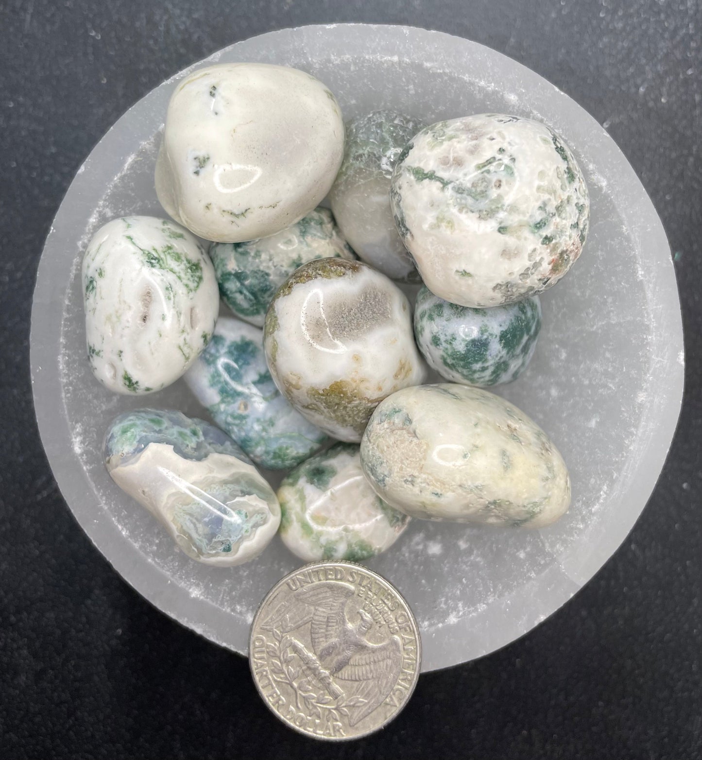 Tree Agate Tumbled Stone, 1 Pound Bag (Approx. 20-30 mm) WT-0142-B