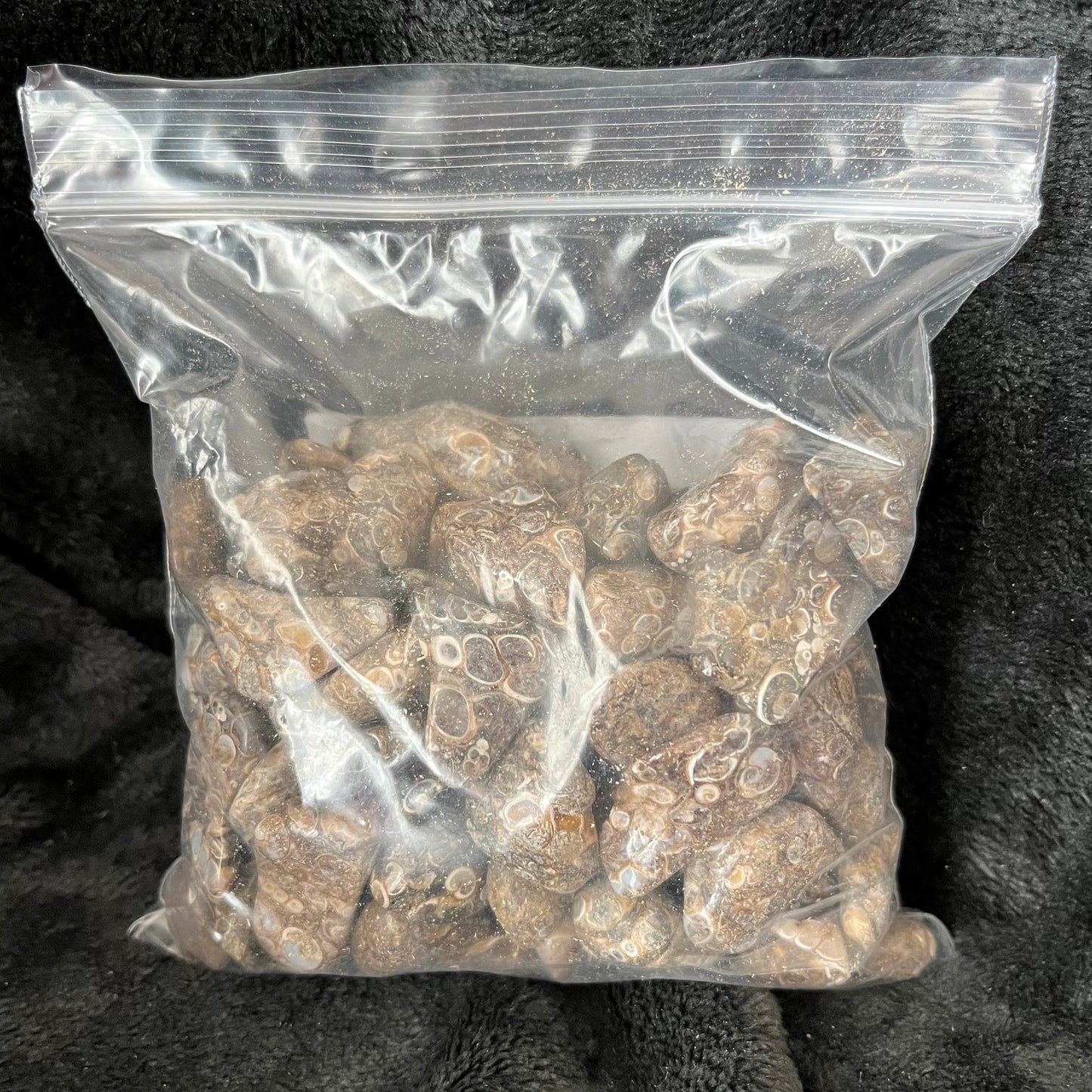 Turritella Agate Tumbled Stone, 1 Pound Bag WT-0144