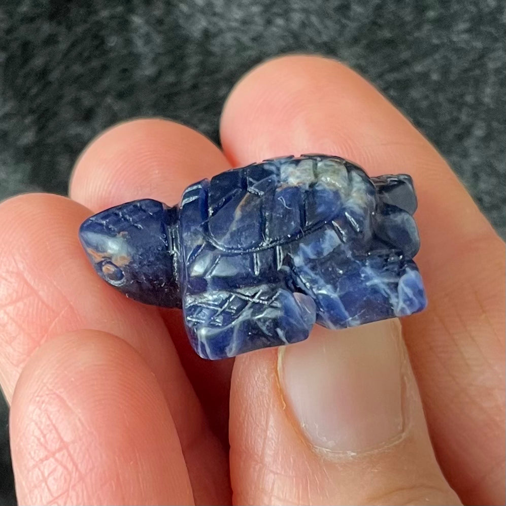 Sodalite Carved Sea Turtle (Approx. 1”) 0190