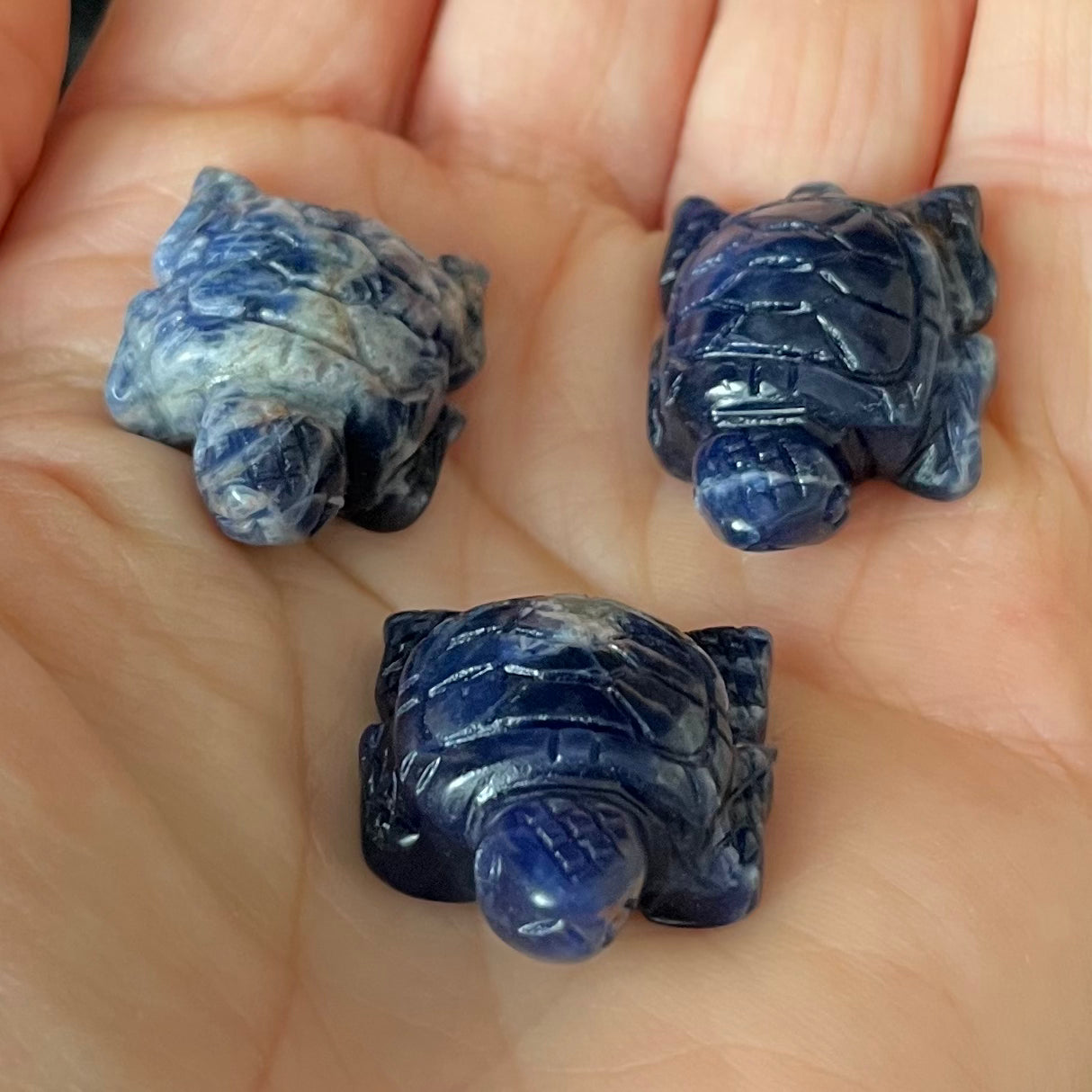 Sodalite Carved Sea Turtle (Approx. 1”) 0190