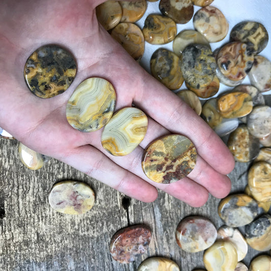 Yellow Crazy Lace Agate Tumbled Polished disk Tab (Approx. 3/4" - 1") Polished Stone for Crystal Grid, Wire Wrapping or Craft Supply BIN-0676