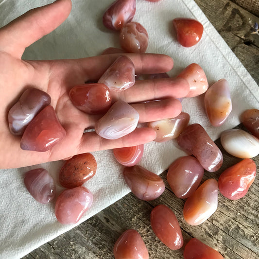 Peach Botzwana Agate Tumbled Polished (Approx. 1" - 1 1/4") Polished Stone for Crystal Grid, Wire Wrapping or Craft Supply 0718