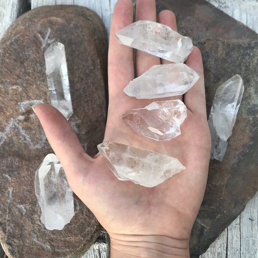 Four quartz crystals, glistening in the light, showcasing the beauty of earth's geological formations, displayed in an open palm.