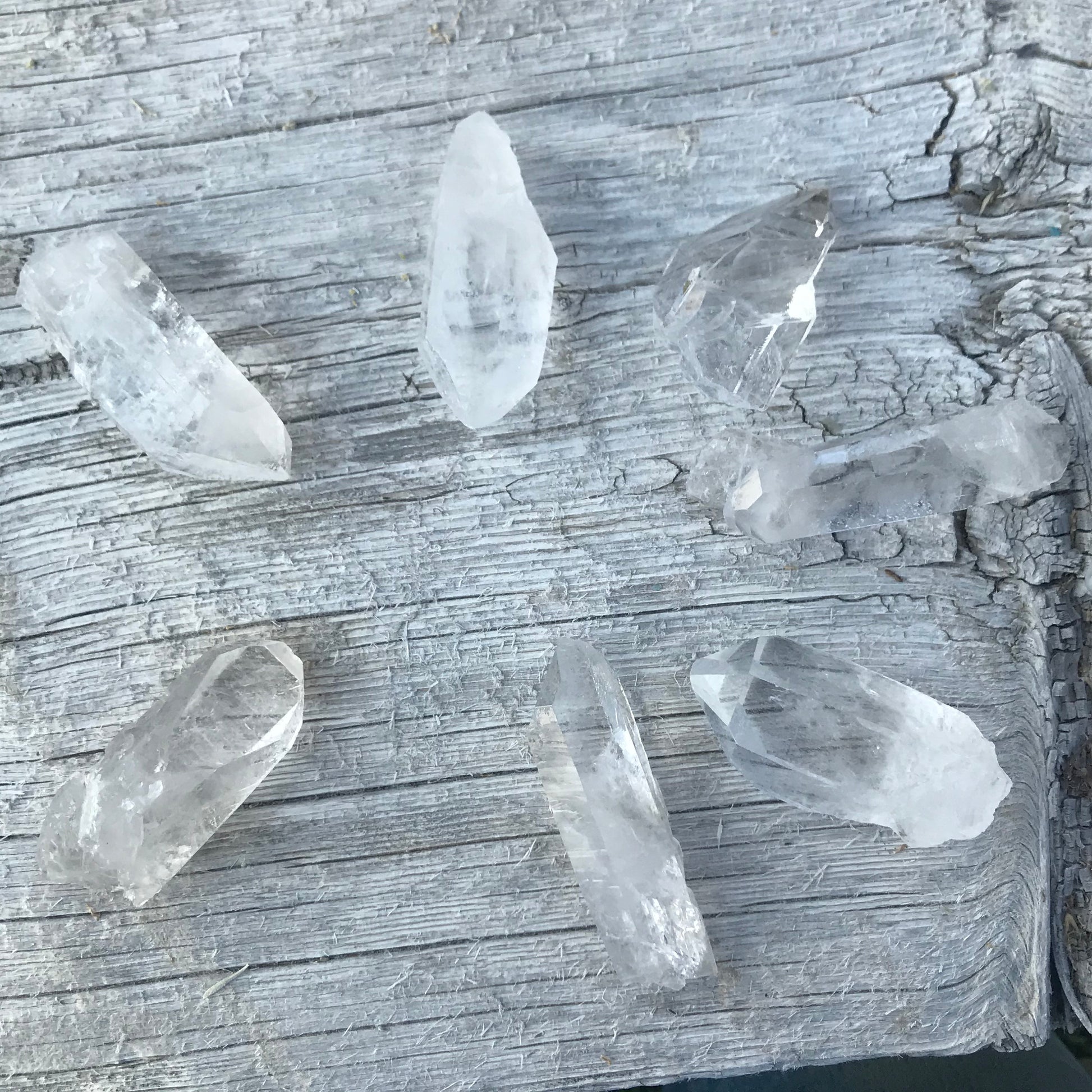 Cluster of natural quartz crystals, glistening in the light, showcasing the beauty of earth's geological formations.  Quartz crystals are approximately 1 1/2” - 2” long.