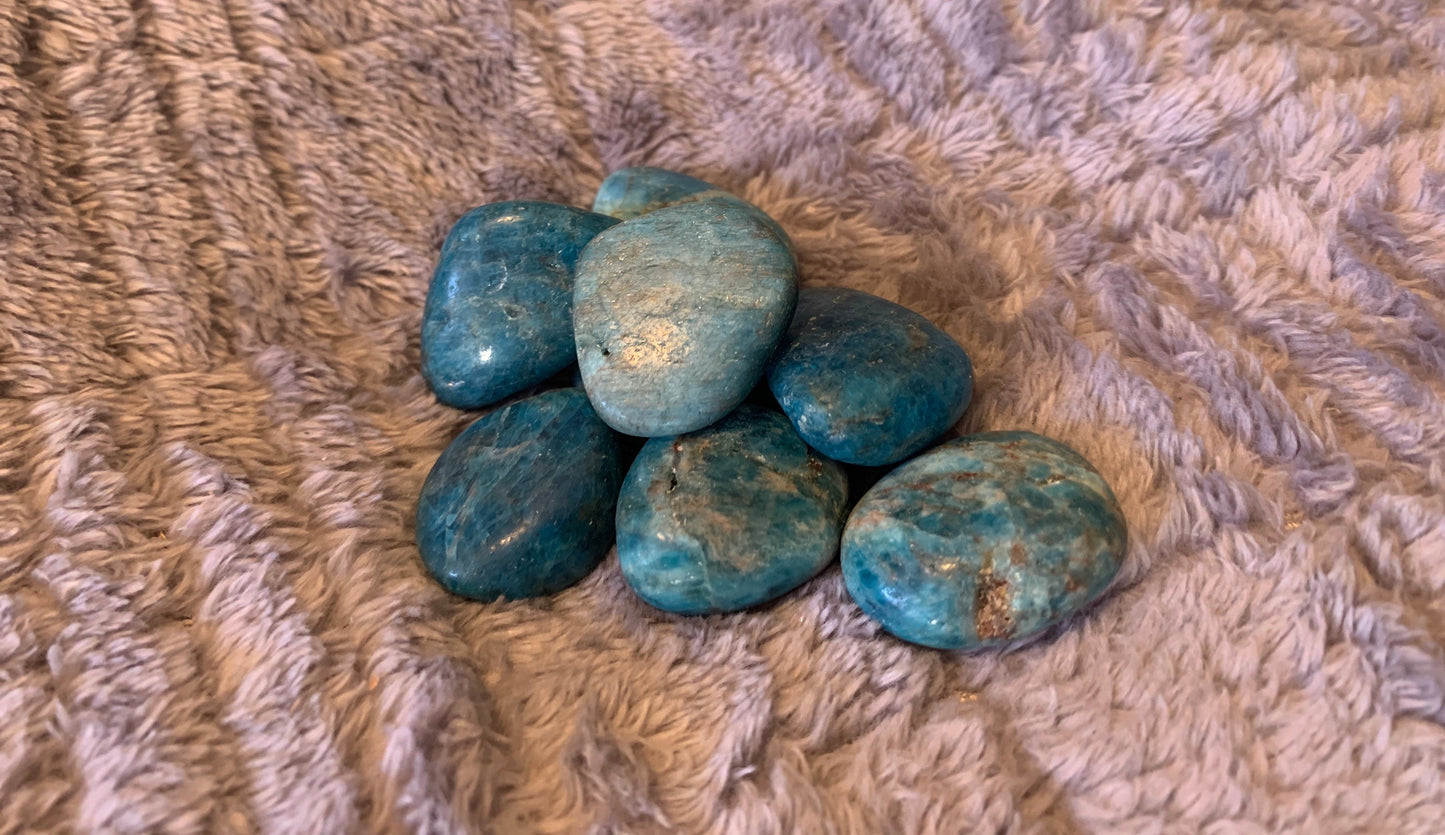 Apatite Tumbled Stone (Approx. 3/4" - 1") BIN-1410