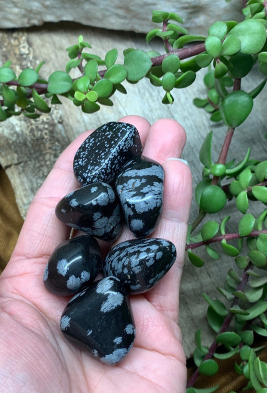 Snowflake Obsidian Tumbled Stone (Approx. 1" - 1 1/4") BIN-1515