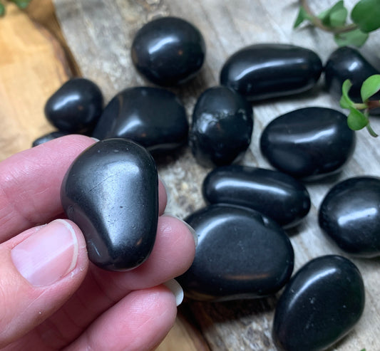 Shungite Tumbled Stone (Approx. 3/4" - 1 1/2") BIN-1466