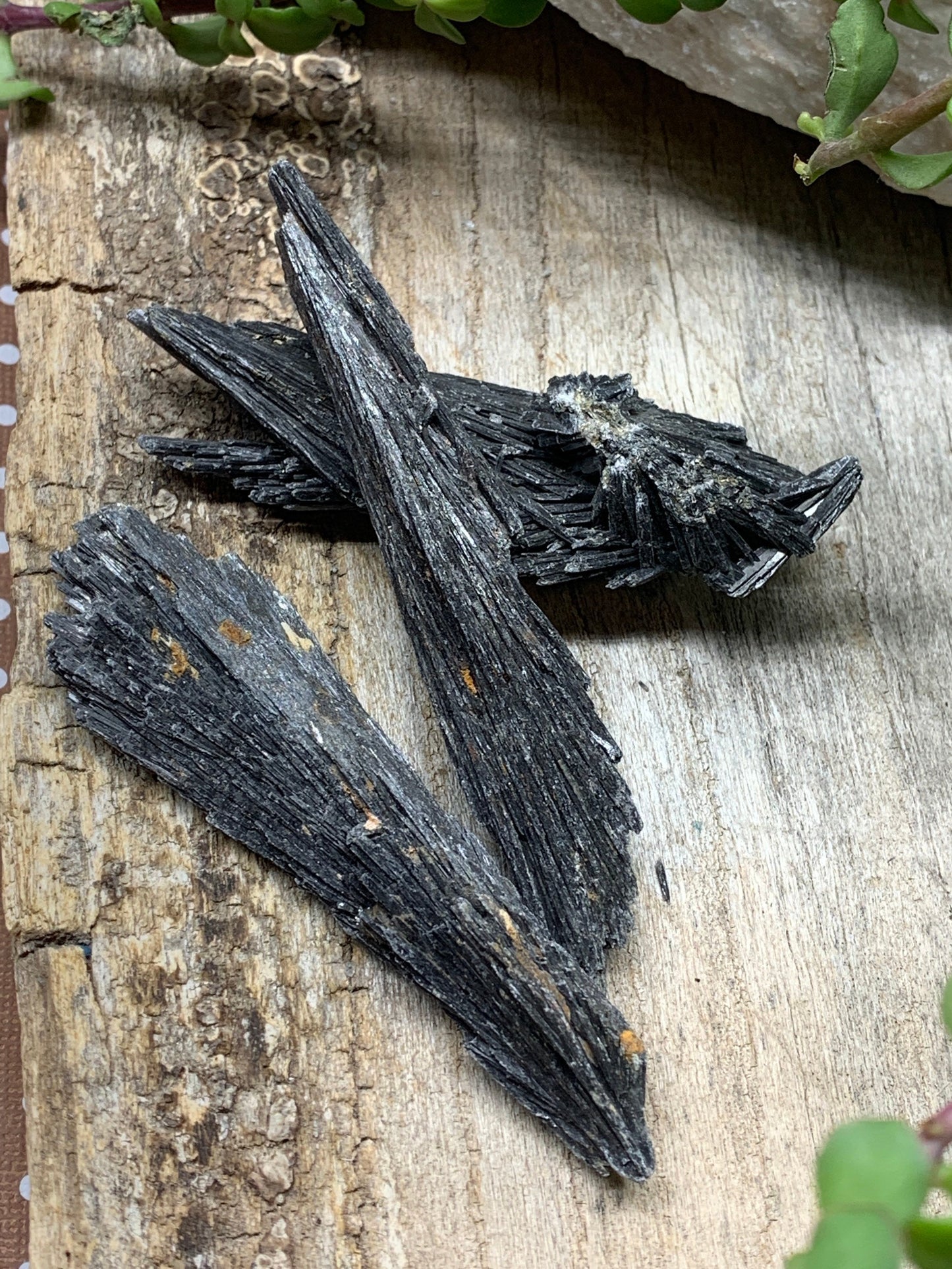 Black Kyanite Blade, Natural, Raw, Crystal (Approx. 1 1/2” - 3”) 1288