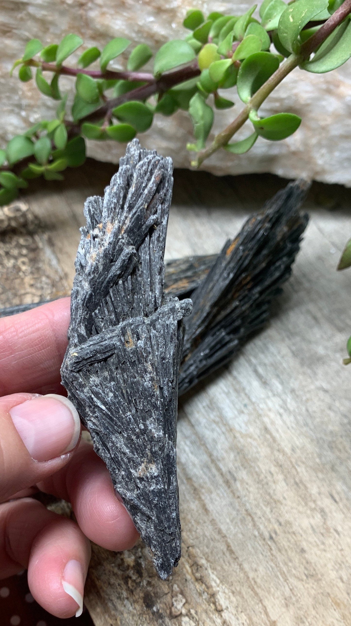 Black Kyanite Blade, Natural, Raw, Crystal (Approx. 3" - 4") 0454