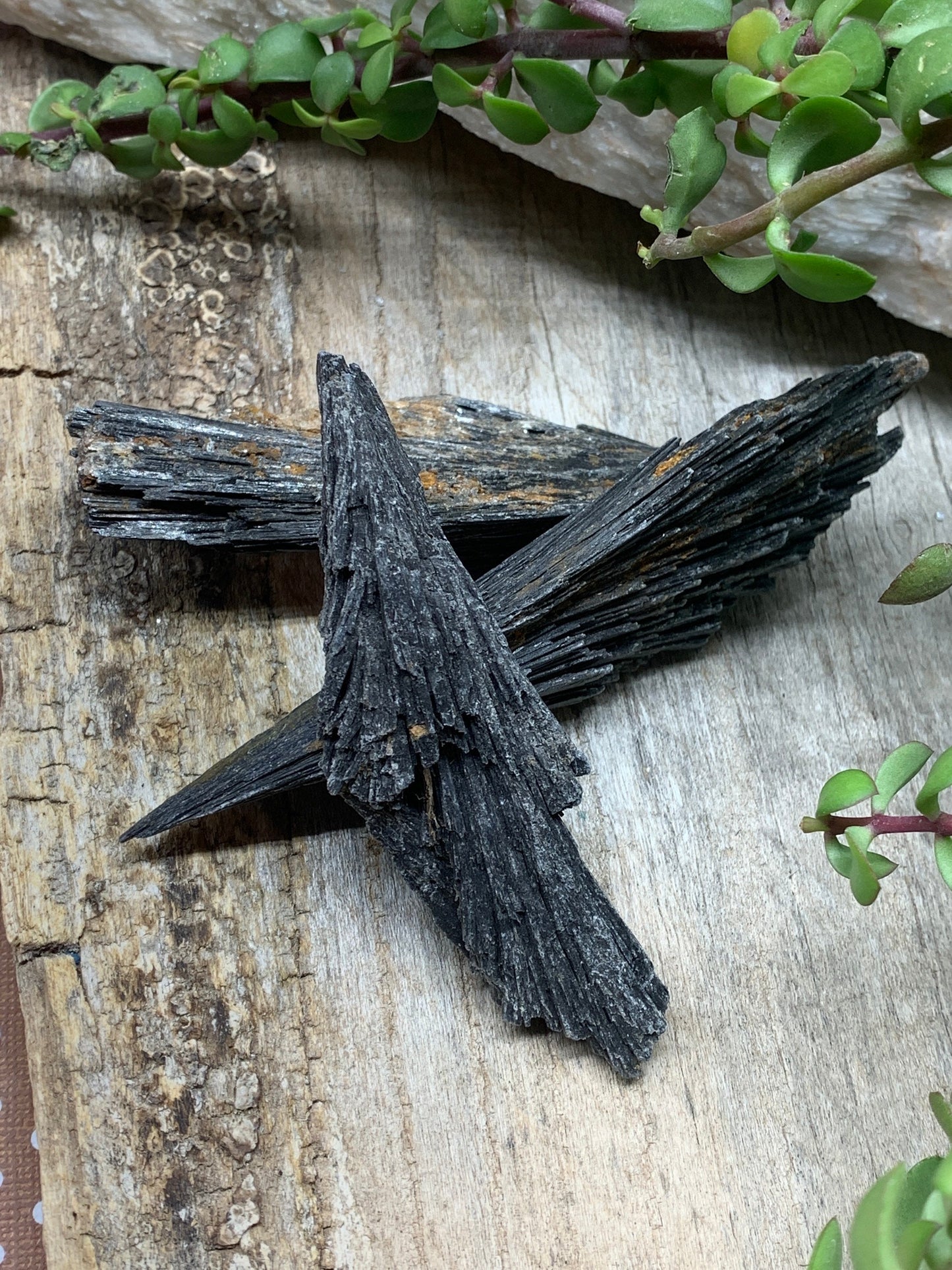 Black Kyanite Blade, Natural, Raw, Crystal (Approx. 3" - 4") 0454