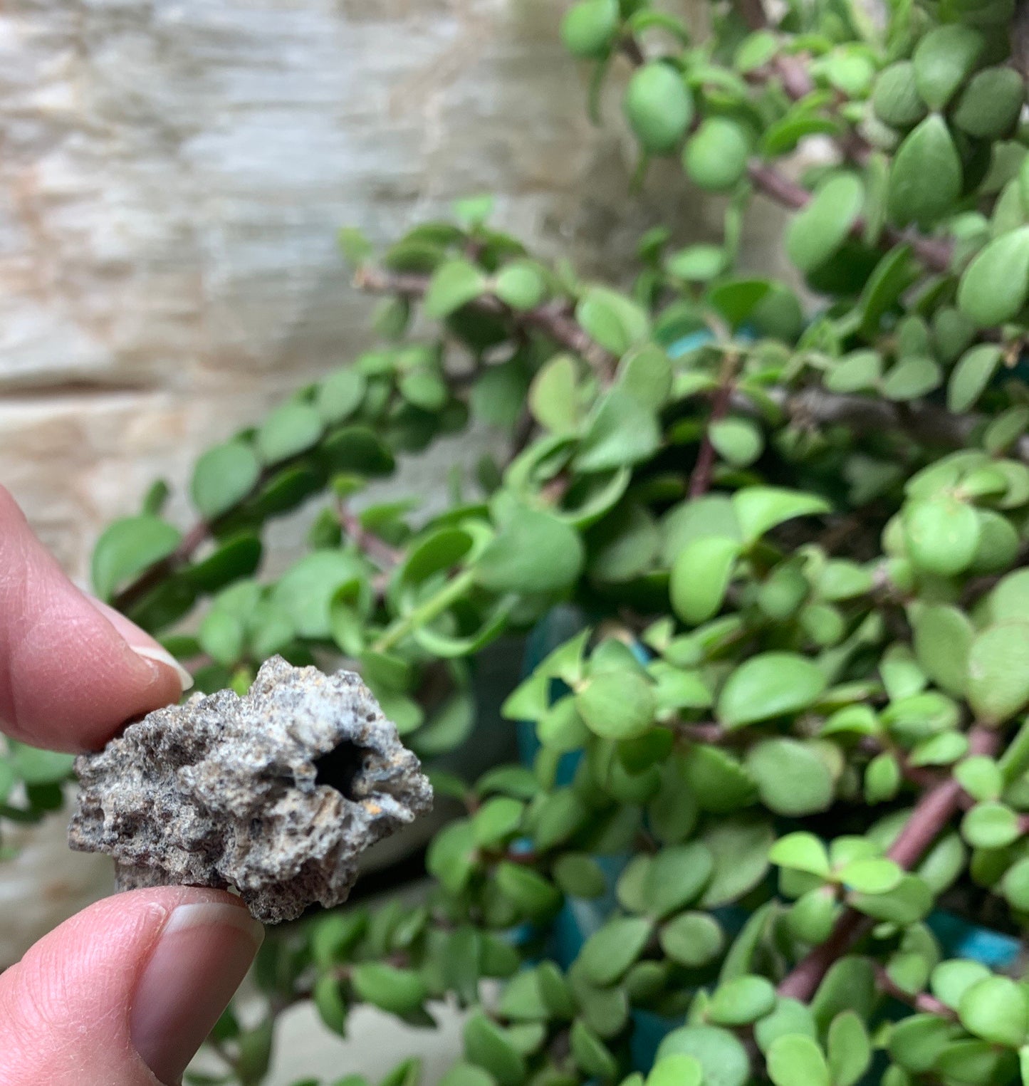 Fulgenite Lightning Stone  RAW-0028