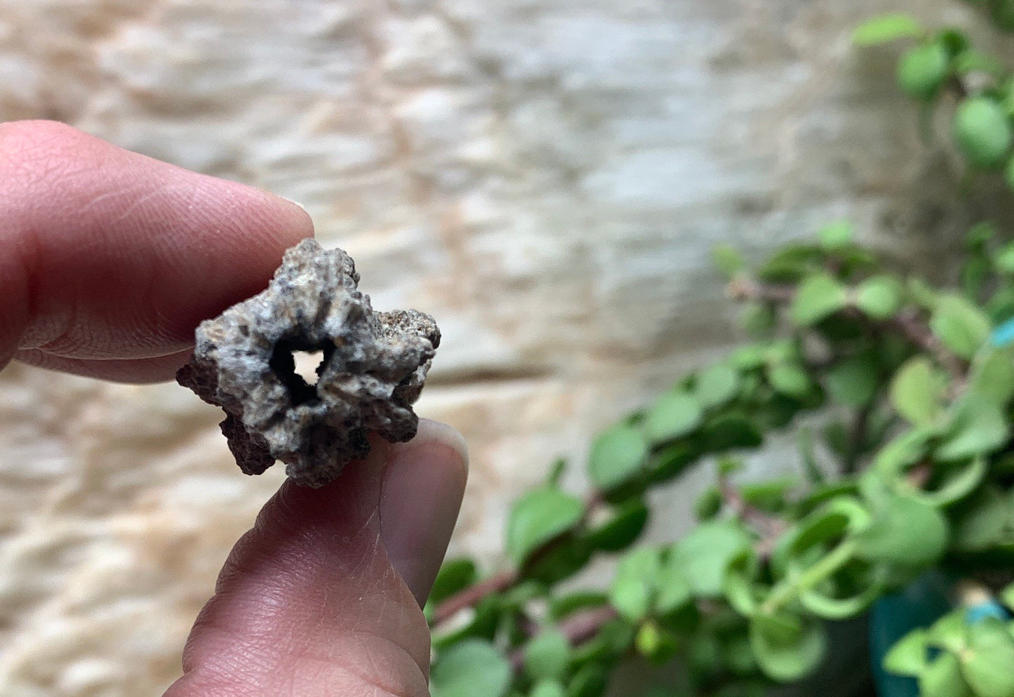 Fulgenite Lightning Stone  RAW-0028