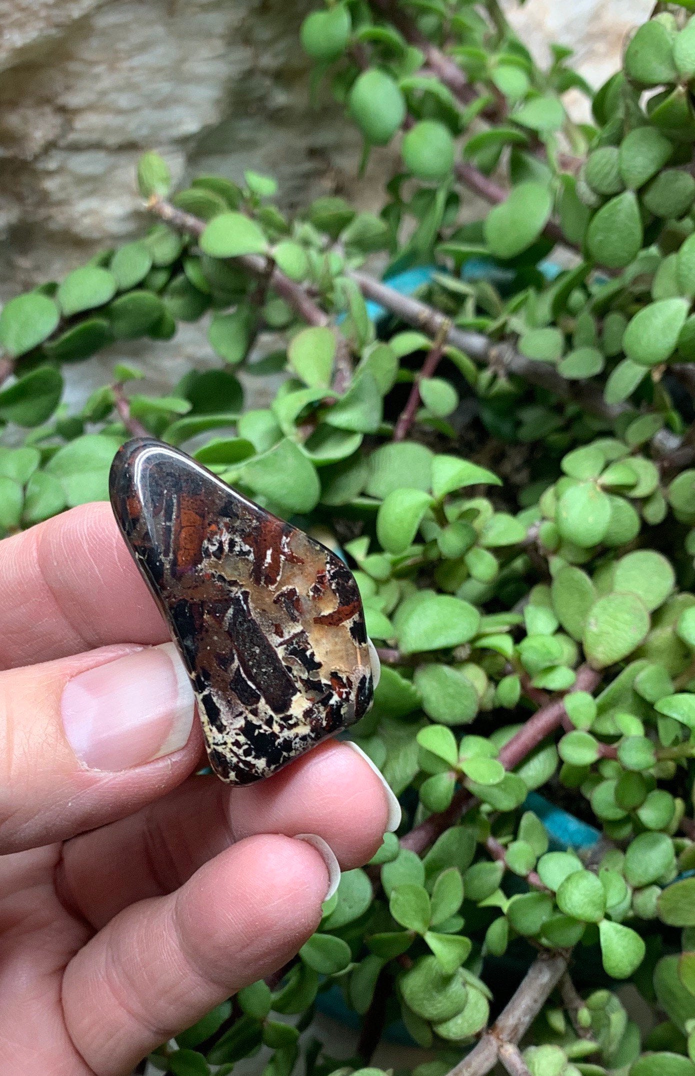 Brecciated Jasper (Approx. 1" - 1 1/2") 0636