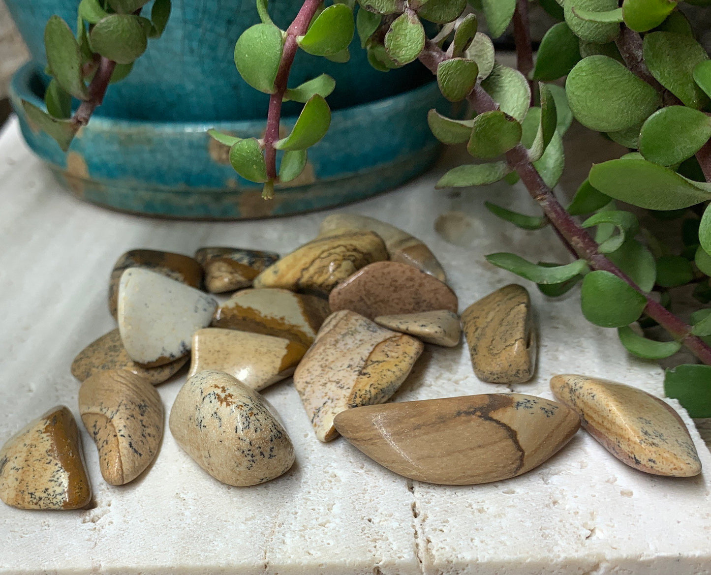 Picture Jasper Tumbled Stone (Approx. 3/4" - 1 1/4") BIN-1314