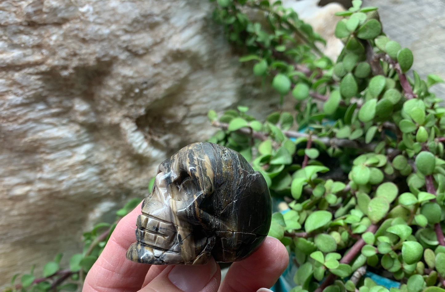 Jasper Carved Skull 0206