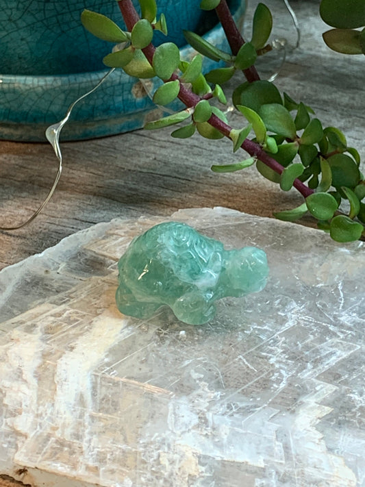 Green Fluorite Carved Turtle 0217