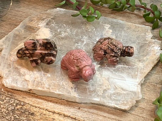 Rhodonite Carved Turtle 0203