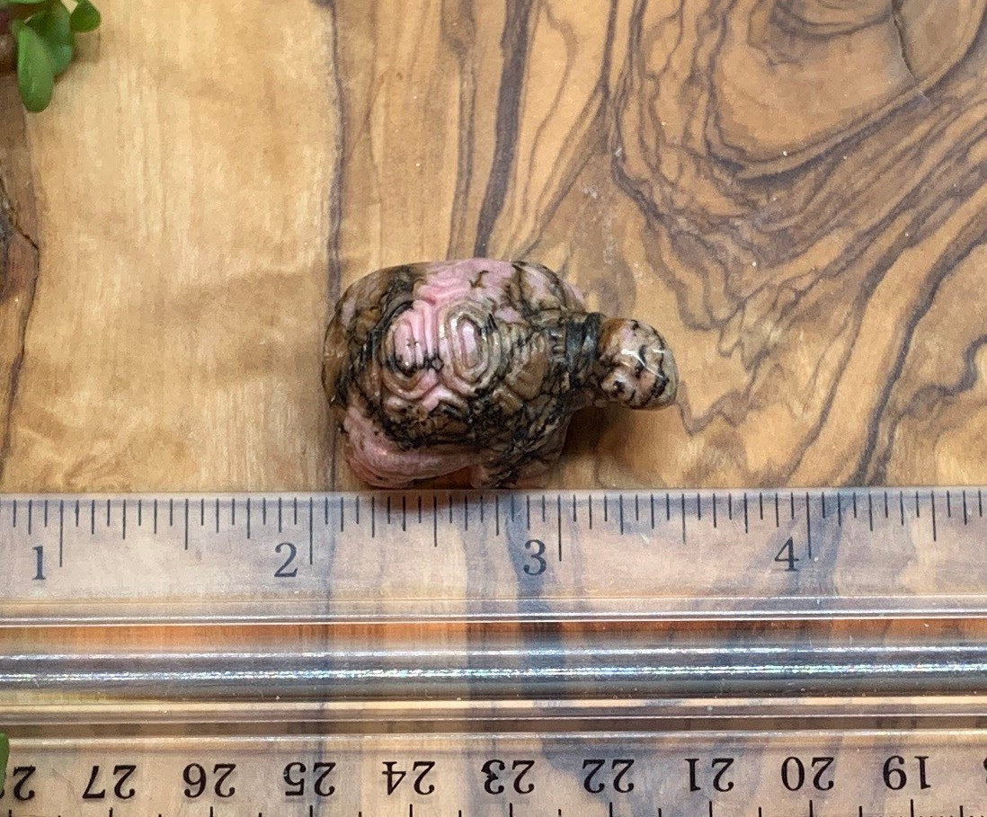 Rhodonite Carved Turtle 0203