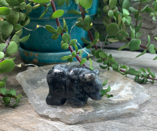 Larvikite Carved Bear (2 x 1.5 x 1 inches) 0991