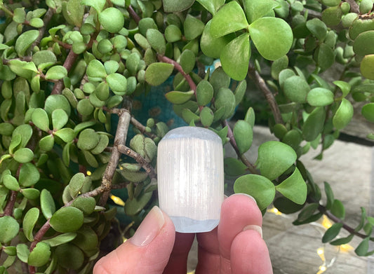 Selenite Tumbled Oval (Approx. 1 1/4" - 1 1/2") G-0002