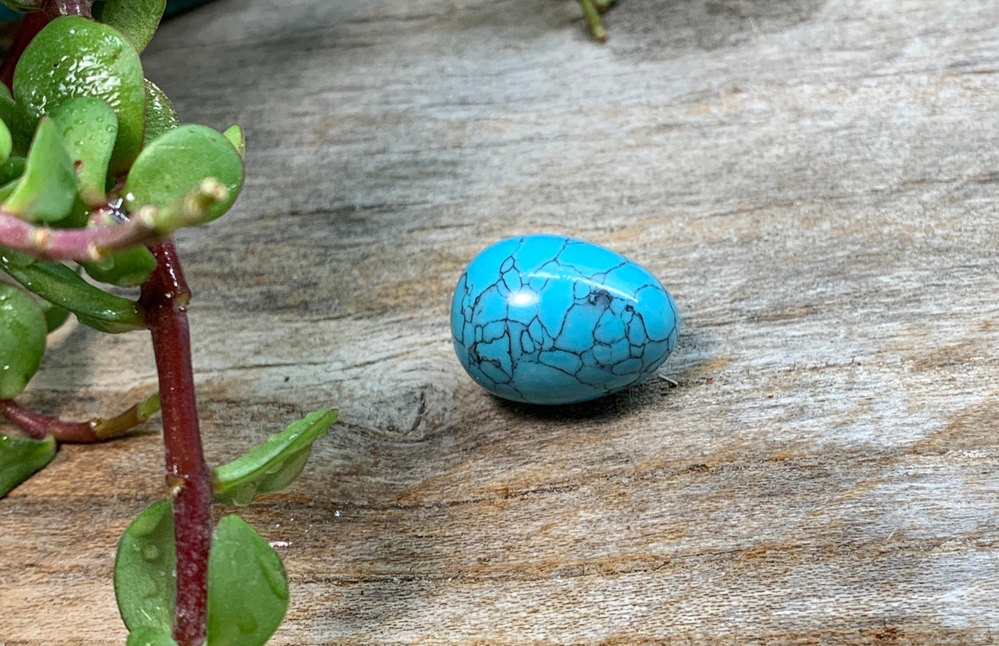 Blue Howlite Egg 3/4” 0431