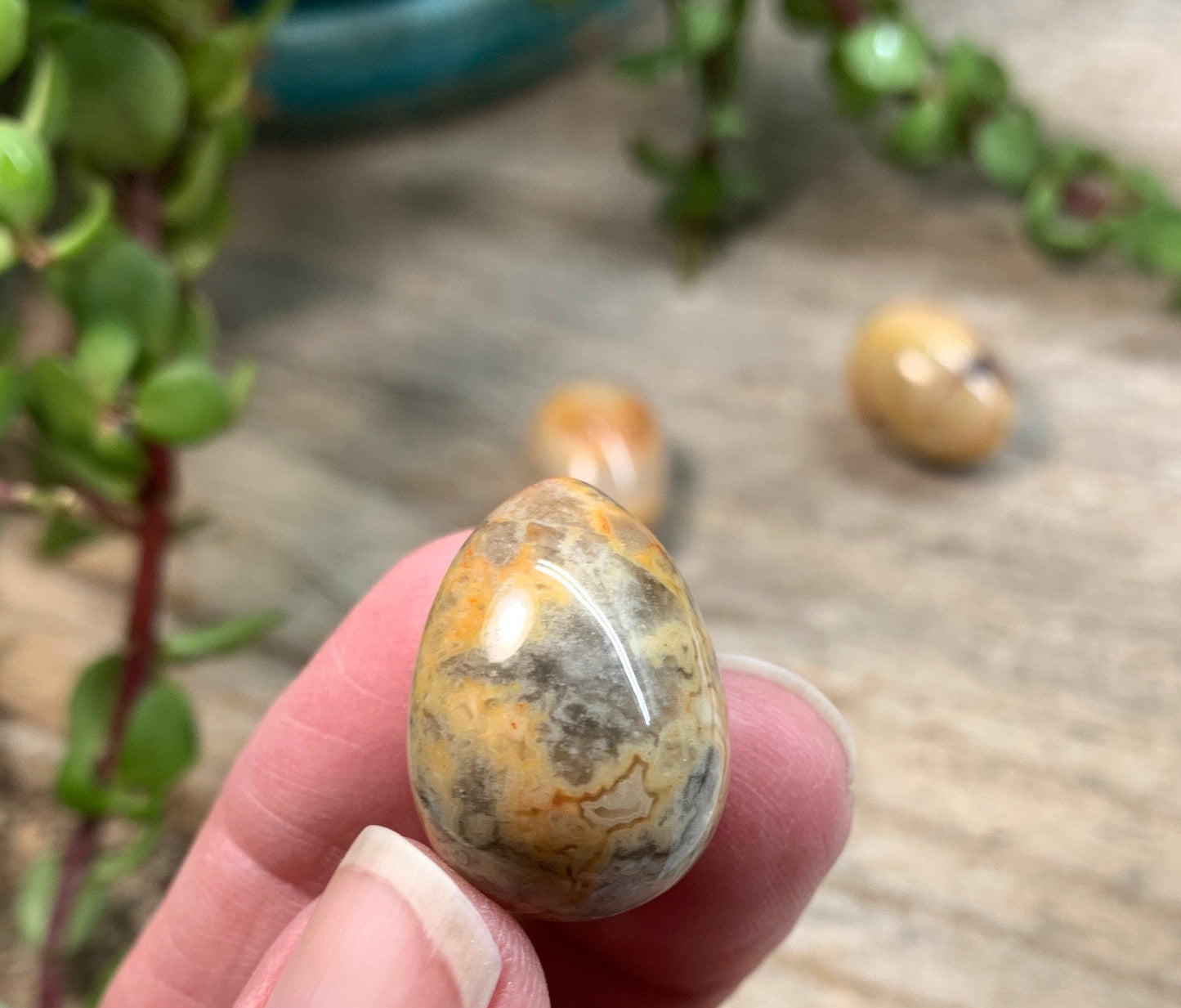 Crazy Lace Agate Egg 3/4” 0425