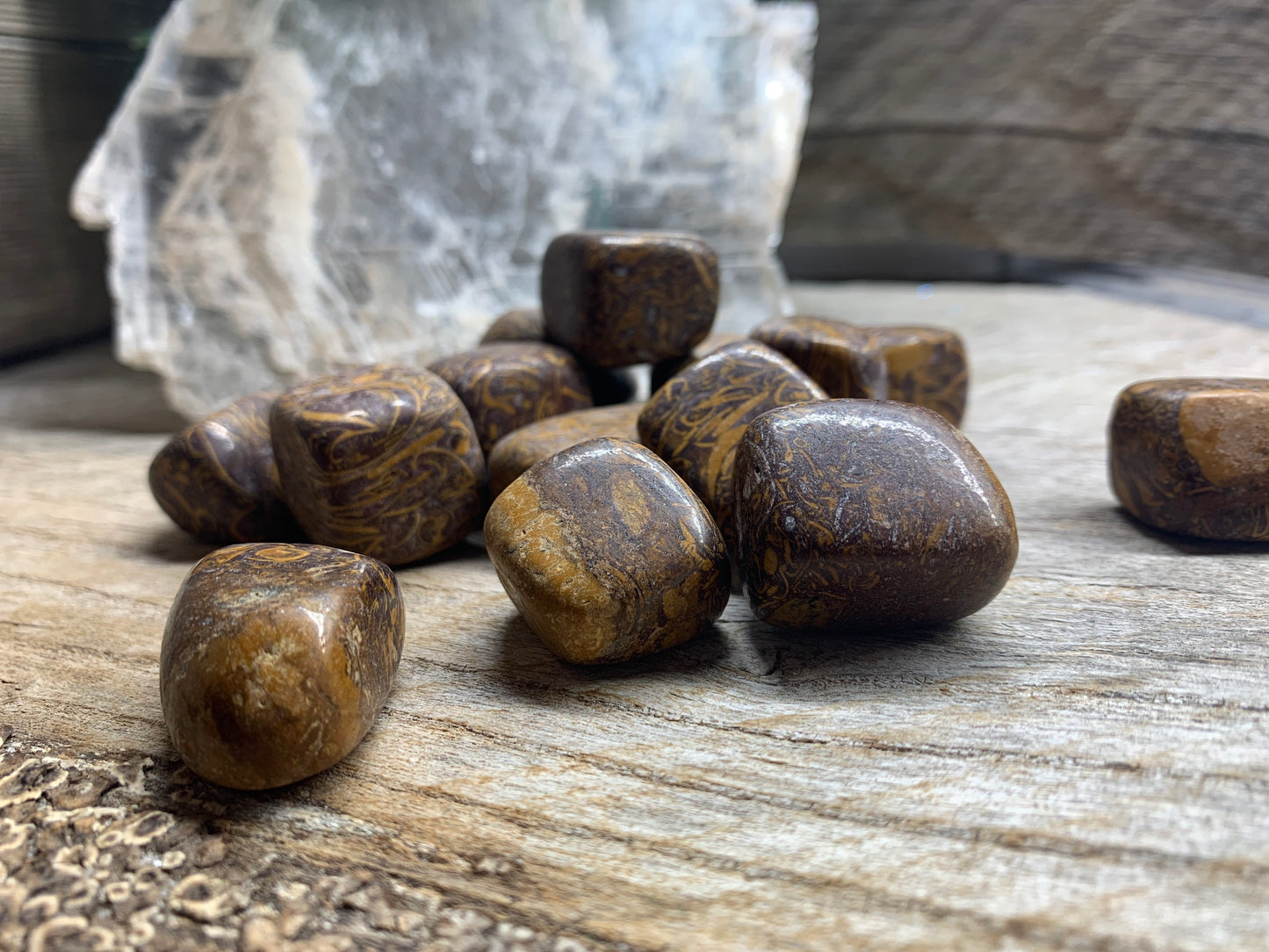 Miriam Jasper, Calligraphy Stone, Elephant Jasper BIN-1365