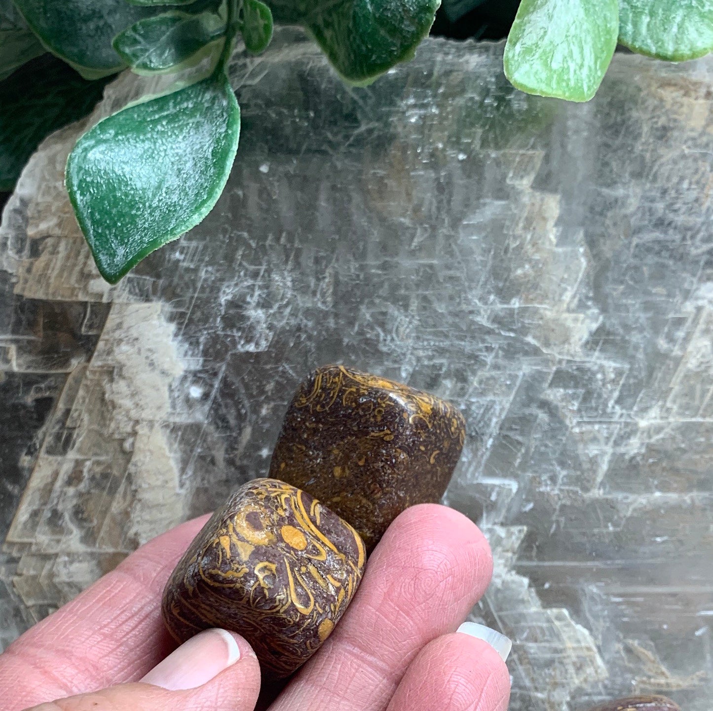 Miriam Jasper, Calligraphy Stone, Elephant Jasper BIN-1365