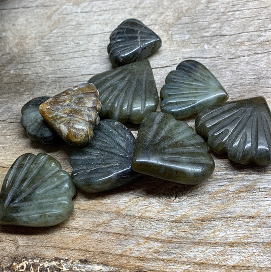 Labradorite Sea Shell Fan, Beautiful Flash, Gift Item 1 to 1”-1/2” 0962