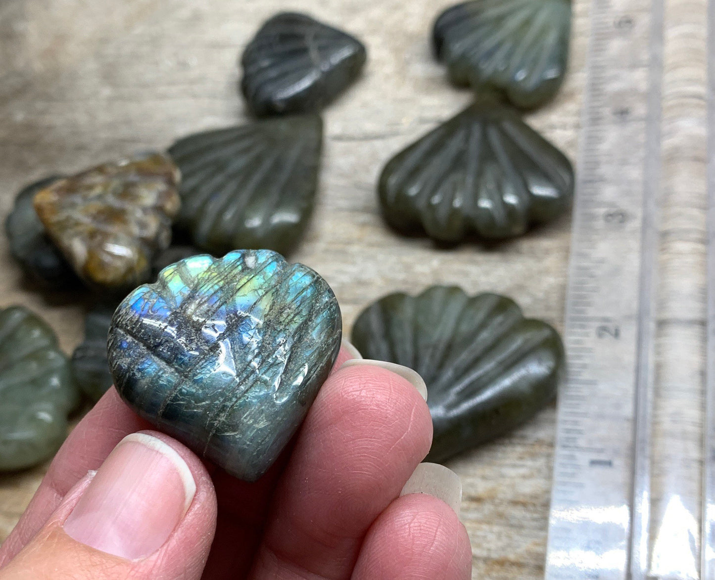 Labradorite Sea Shell Fan, Beautiful Flash, Gift Item 1 to 1”-1/2” 0962