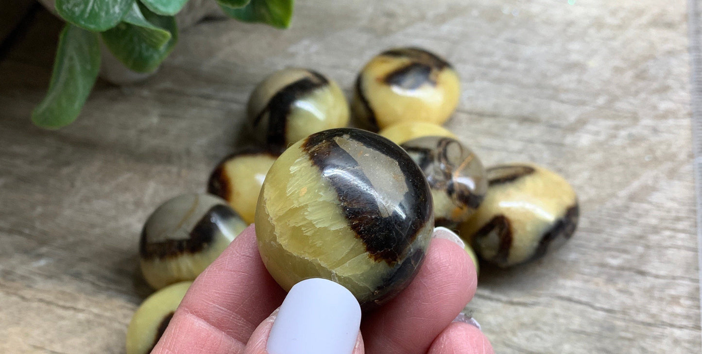 Septarian Nodule Small Polished Palm Stone 1”-1 1/2” 1570