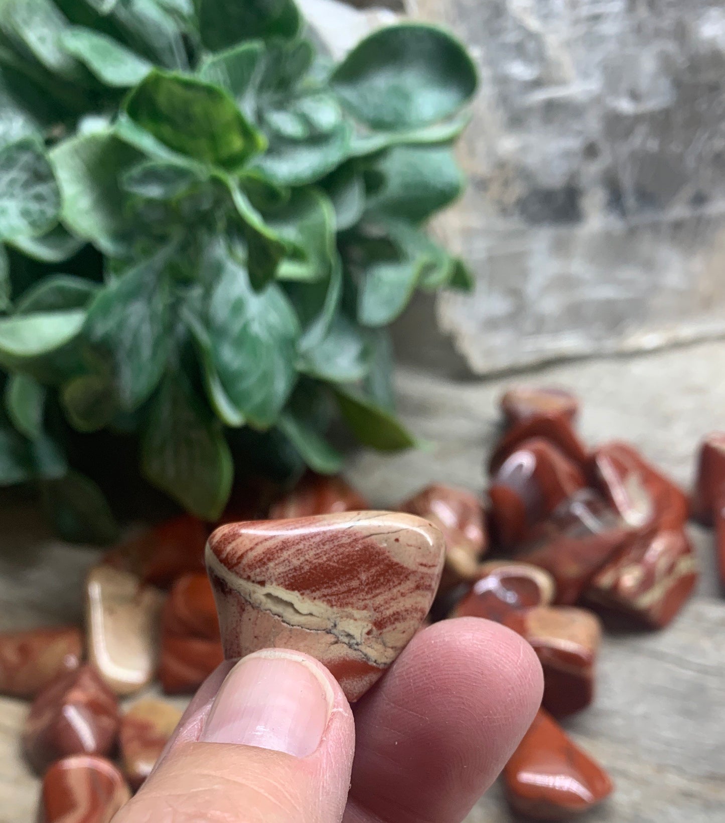 Flower Jasper Tumbled Stone BIN-1275 (Approx. 1”-1 1/2”)