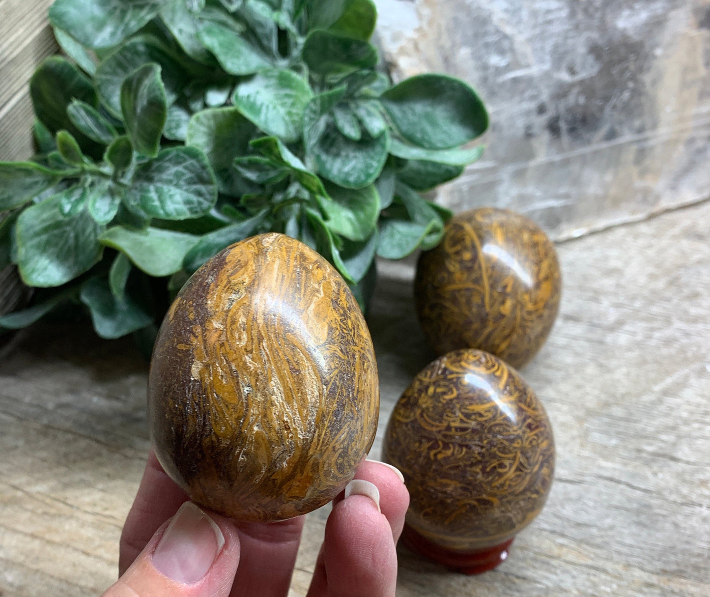 Miriam Jasper, Calligraphy Stone, Elephant Jasper Egg 1544