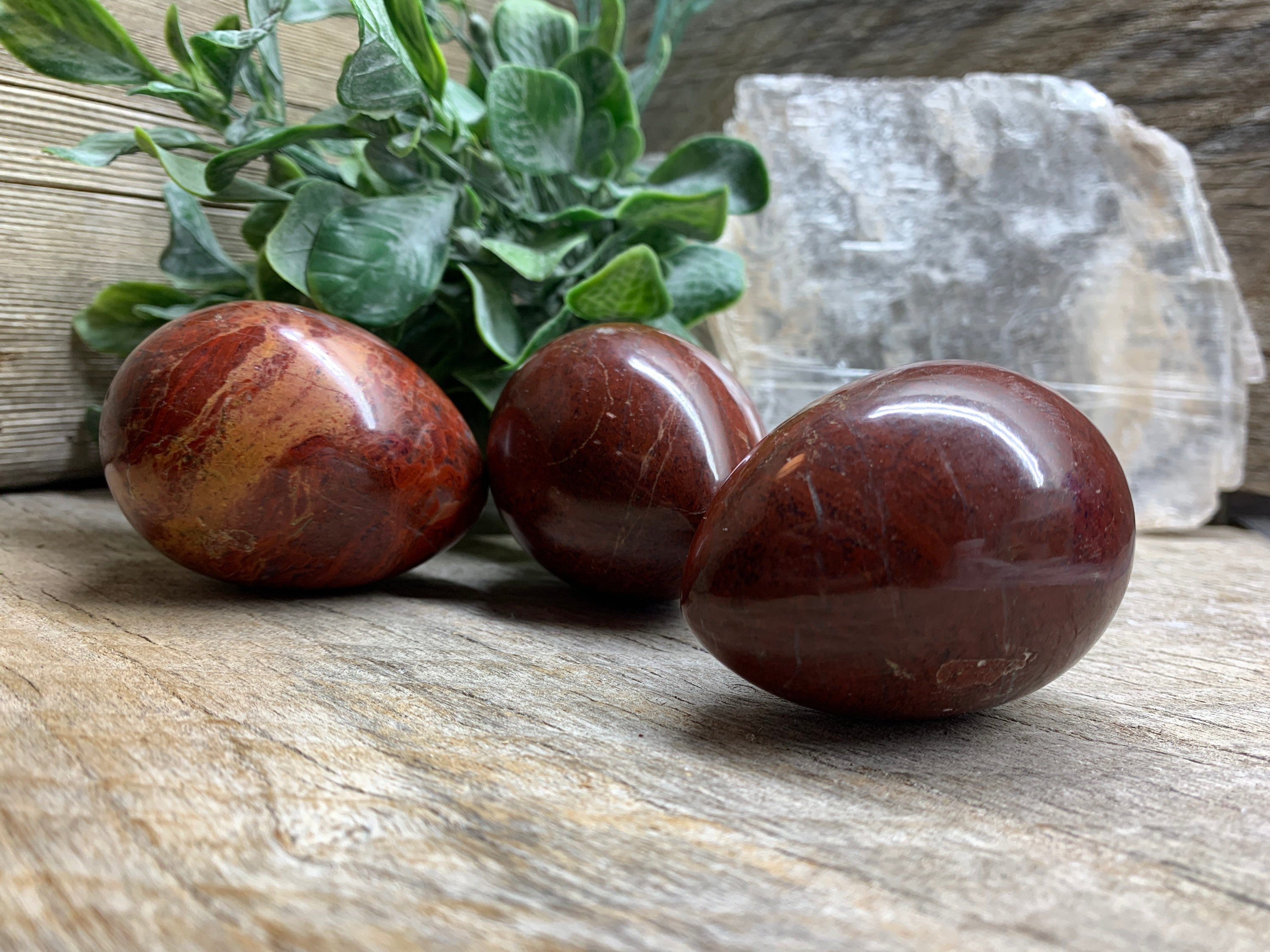Eggs – Stone Path Trading LLC