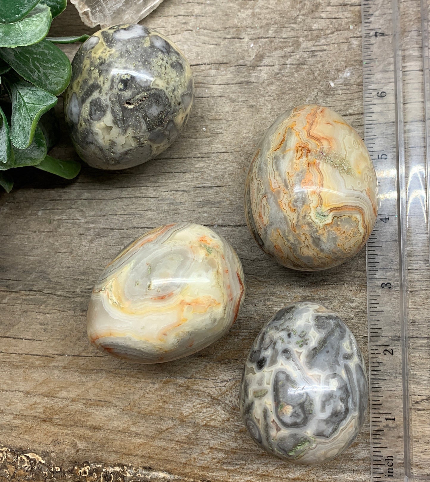 Crazy Lace Agate Egg 2” 1549