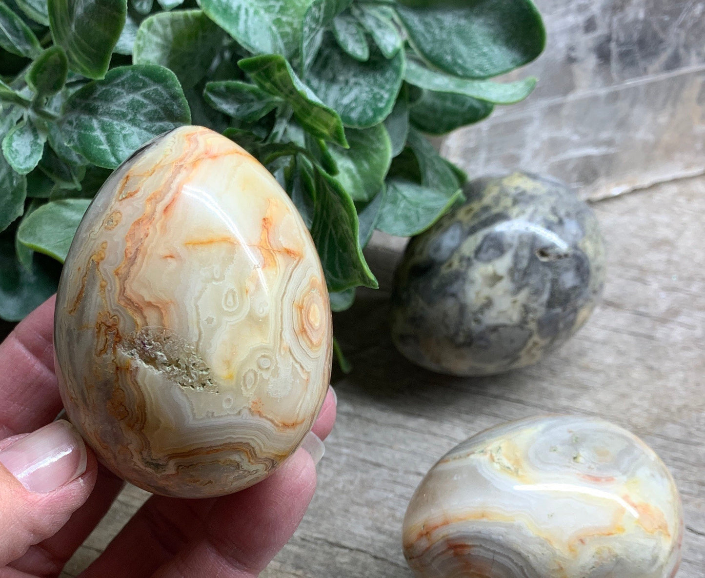 Crazy Lace Agate Egg 2” 1549