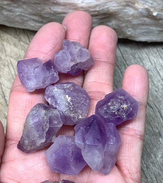 Backbone Amethyst Crystal (Approx. 1" - 1 1/2") 1269