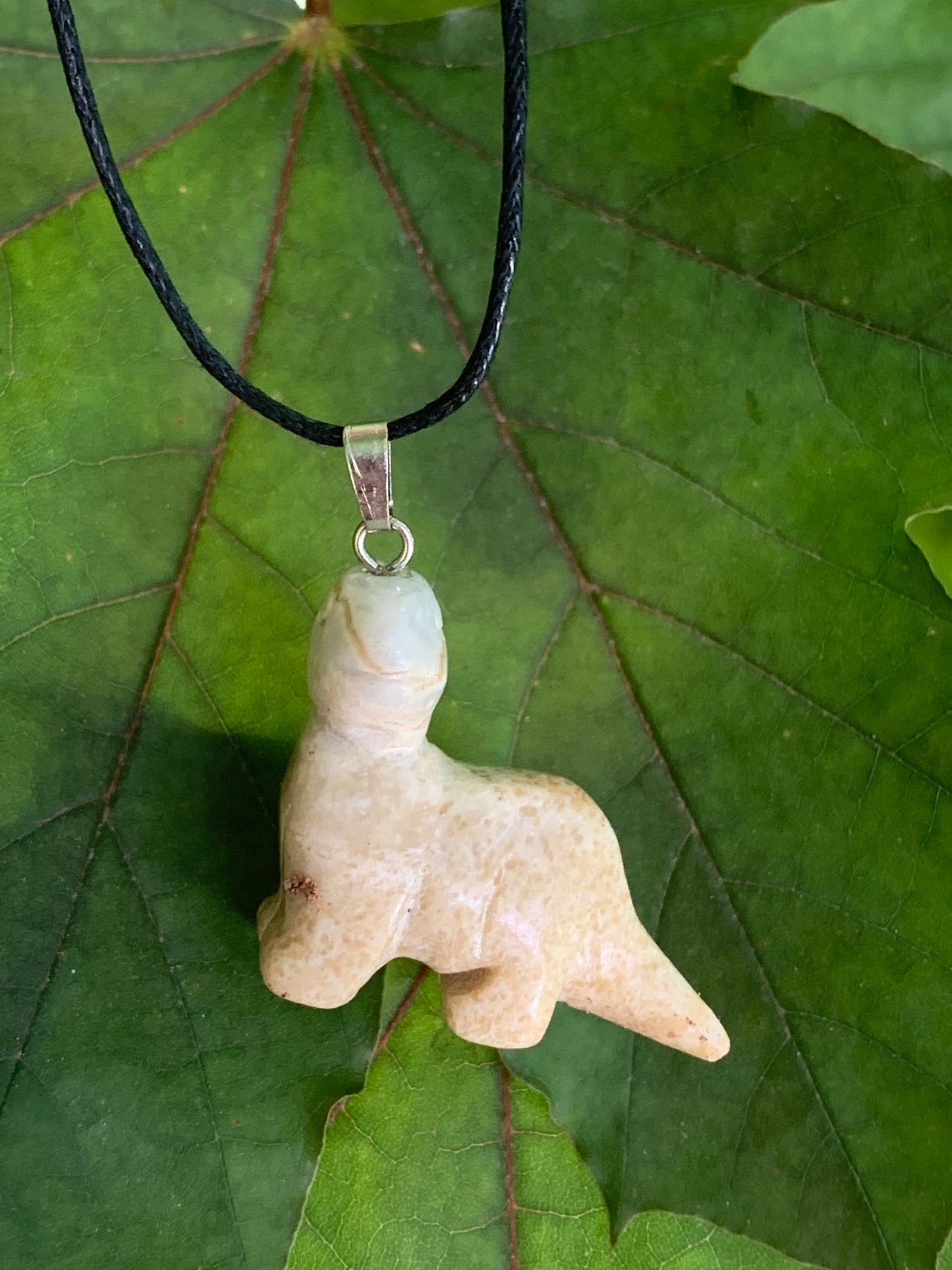 Picture Jasper Dinosaur Necklace NCK-1167