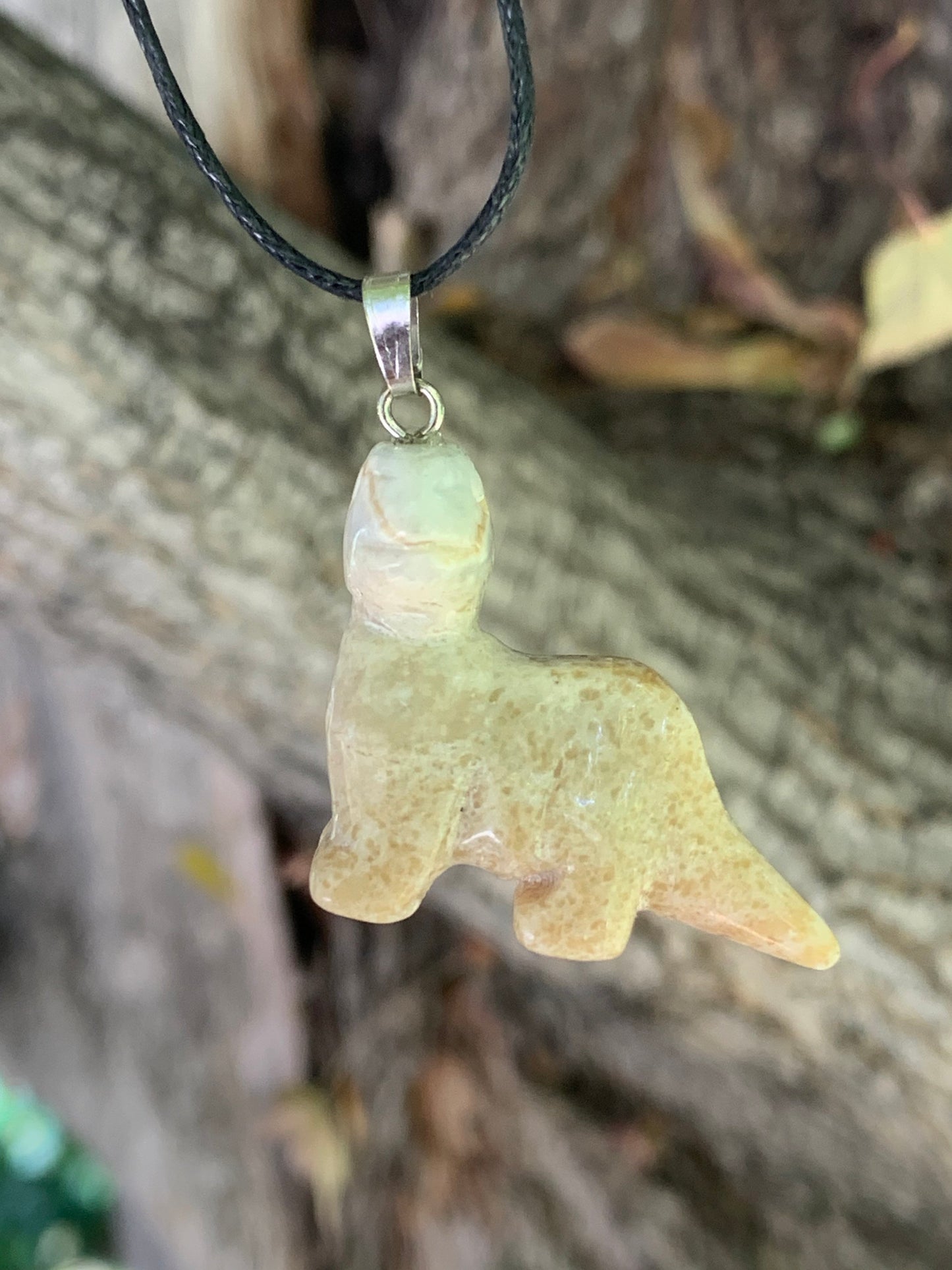 Picture Jasper Dinosaur Necklace NCK-1167