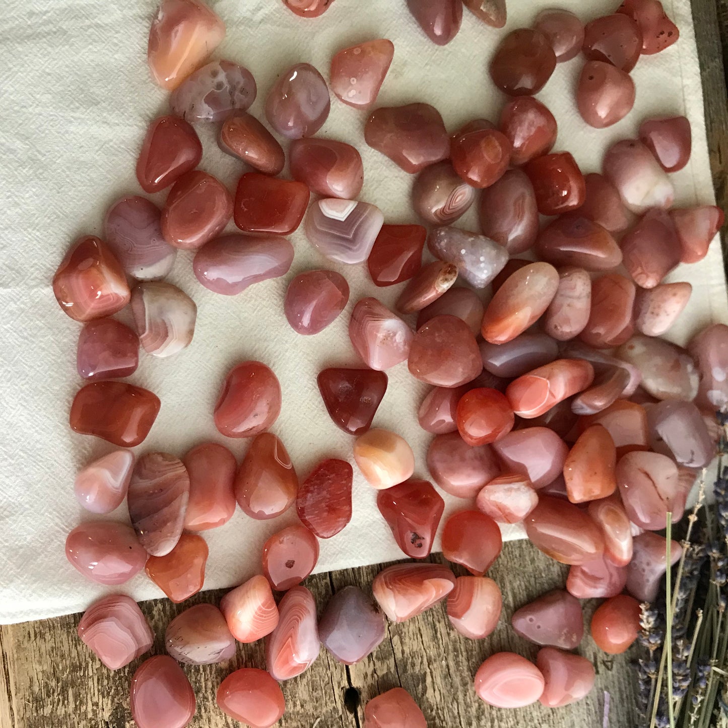 Peach Botzwana Agate Tumbled Polished (Approx 5/8" - 1") Polished Stone for Crystal Grid, Wire Wrapping or Craft Supply BIN-1346