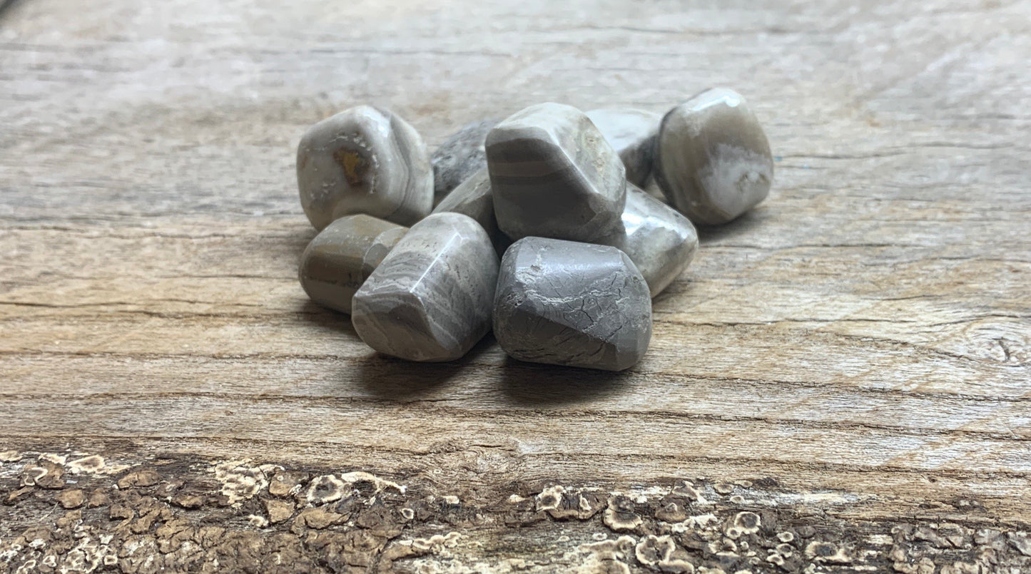 Grey Jasper Tumbled Stone 0333 (5/8”- 1”)