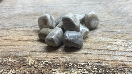 Grey Jasper Tumbled Stone 0333 (5/8”- 1”)
