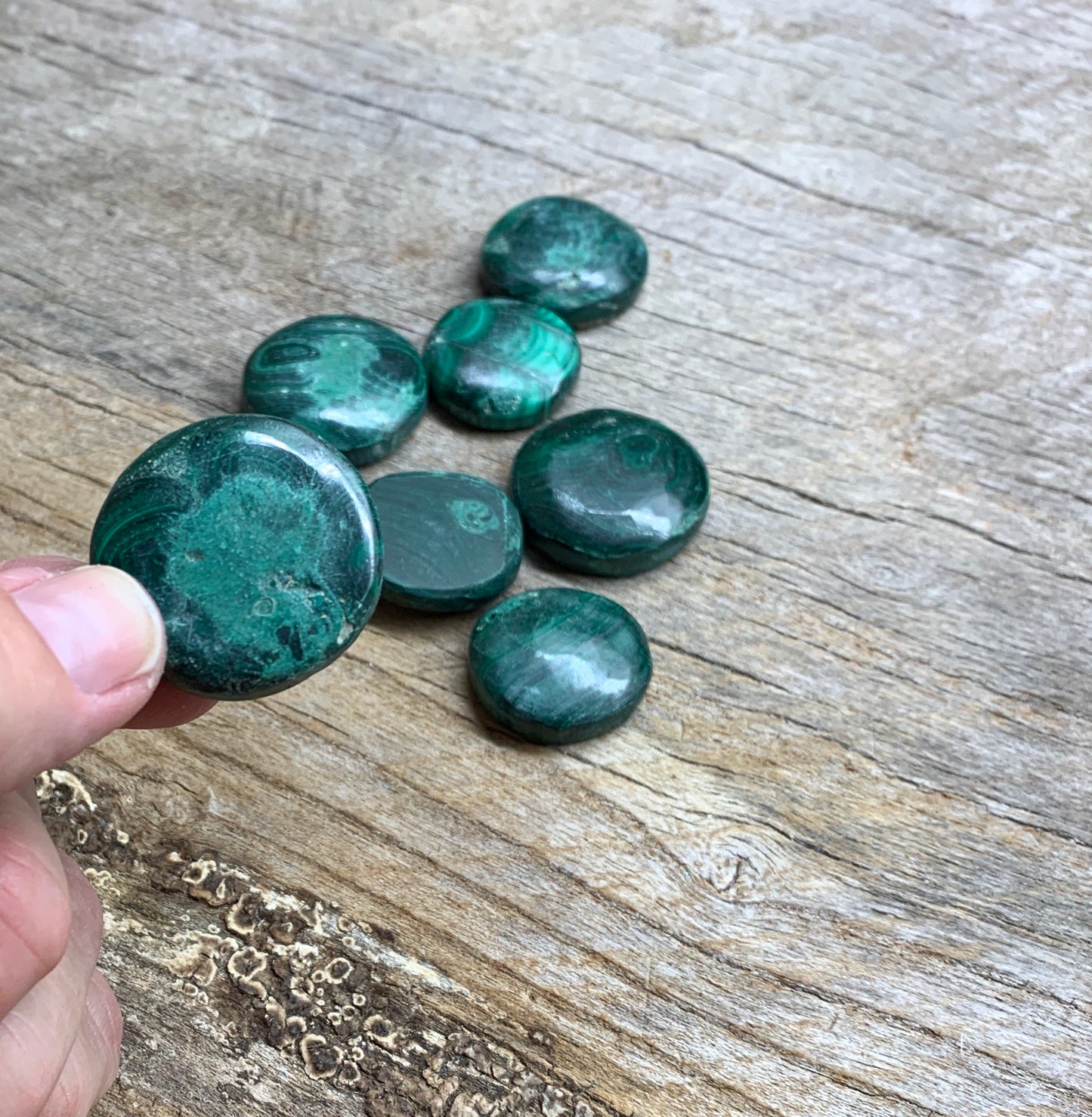 Malachite Disk, genuine, Natural (1”- 1 1/4”) 0200