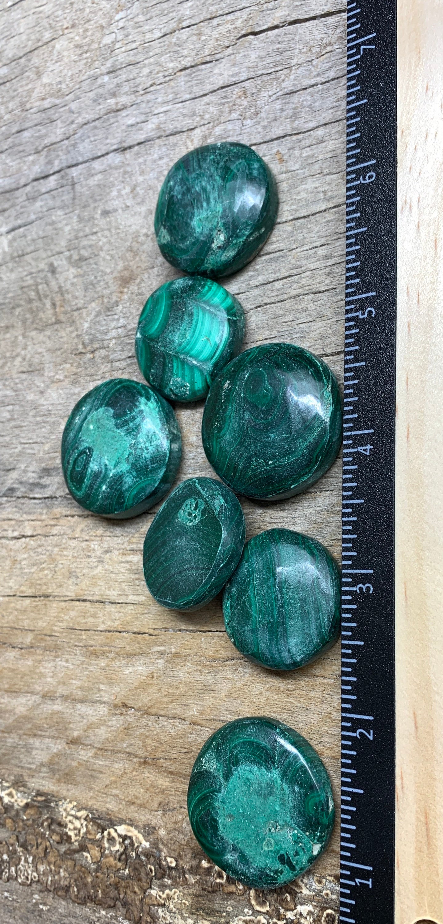 Malachite Disk, genuine, Natural (1”- 1 1/4”) 0200