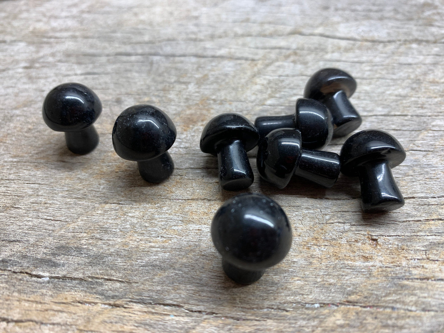 Black Obsidian Mushroom 0024