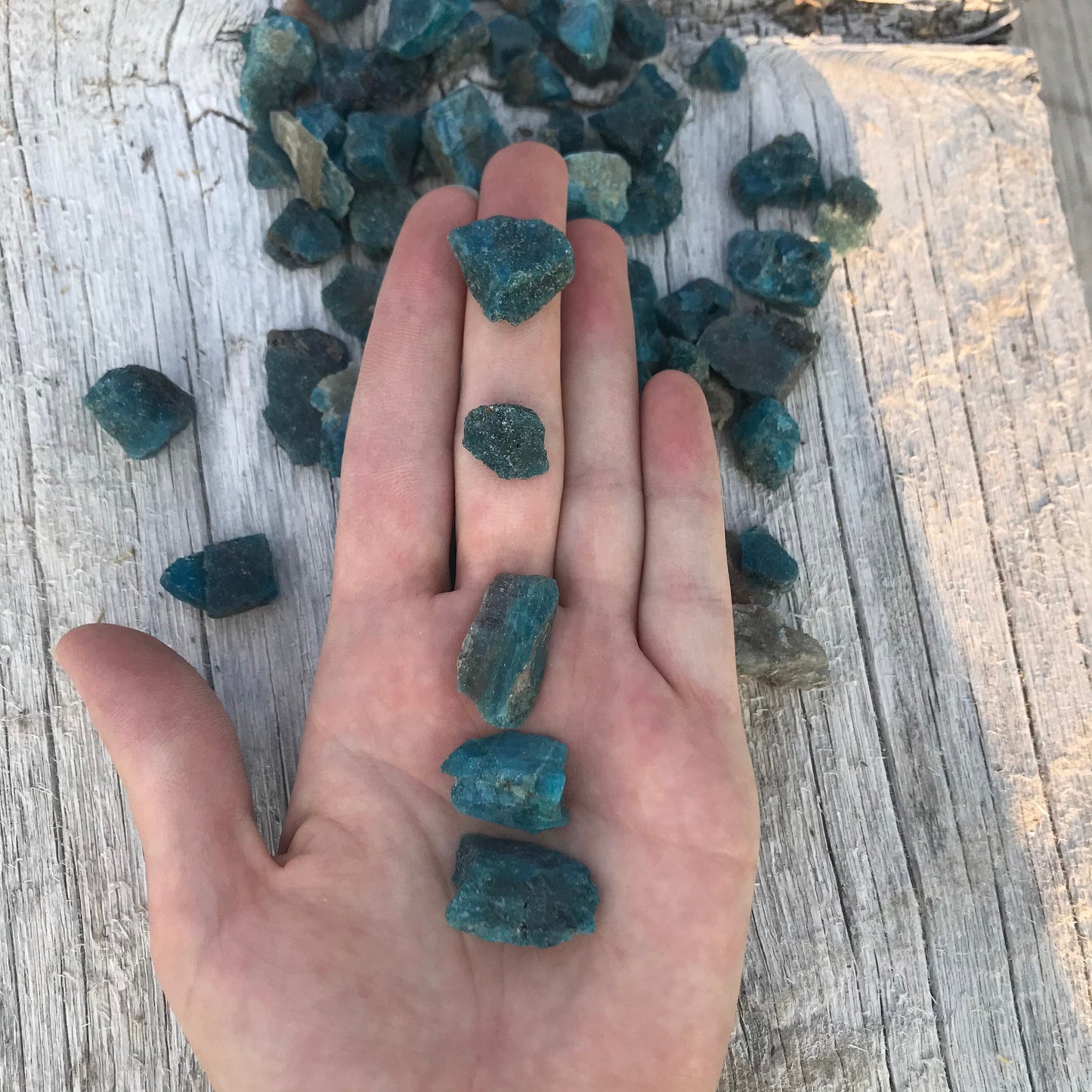 Raw Blue Apatite, One stone (1/2 to 1" long), Rough Teal Blue Healing Crystal 0157