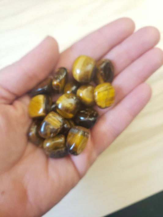 Tiger's Eye Polished Stone  (Approx. 1/2" - 1") BIN-1359